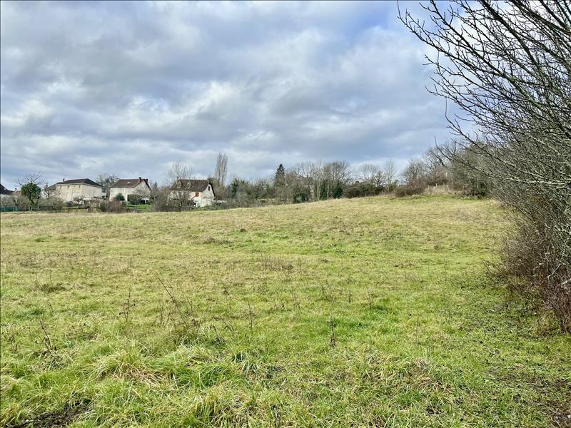 Vente Terrain MEYSSAC - -7150 m² - (19500)