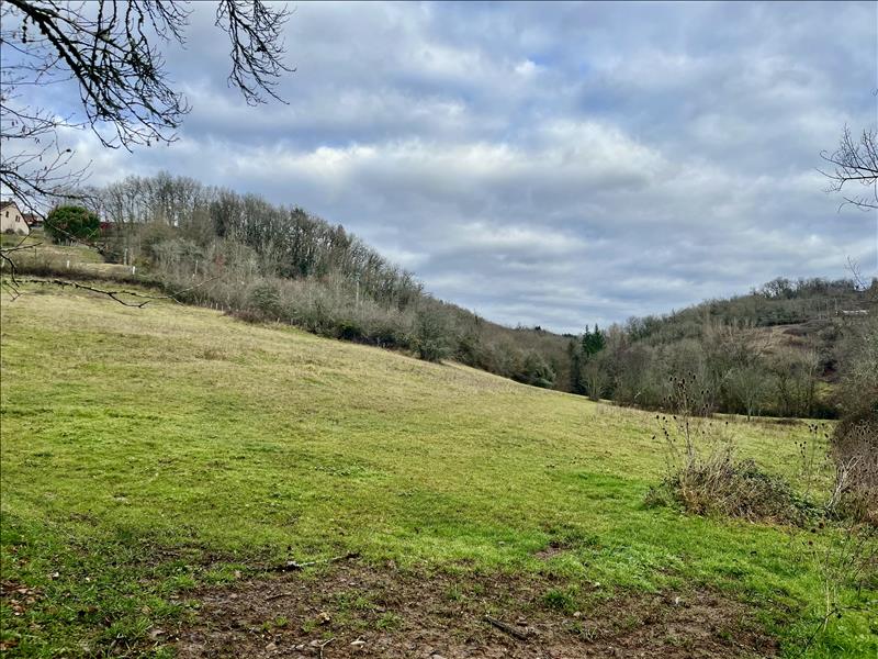 Vente Terrain MEYSSAC - -7150 m² - (19500)