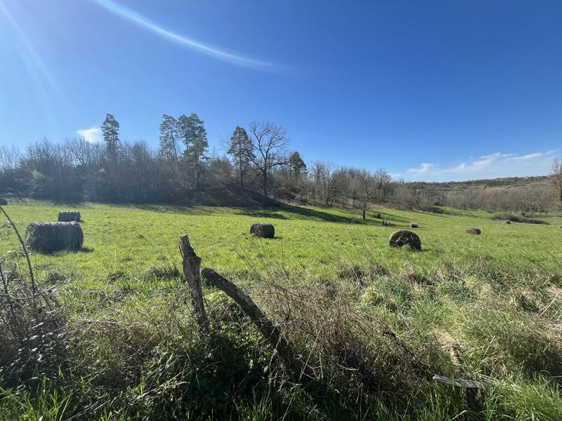 Vente Terrain MEYSSAC - -1080 m² - (19500)