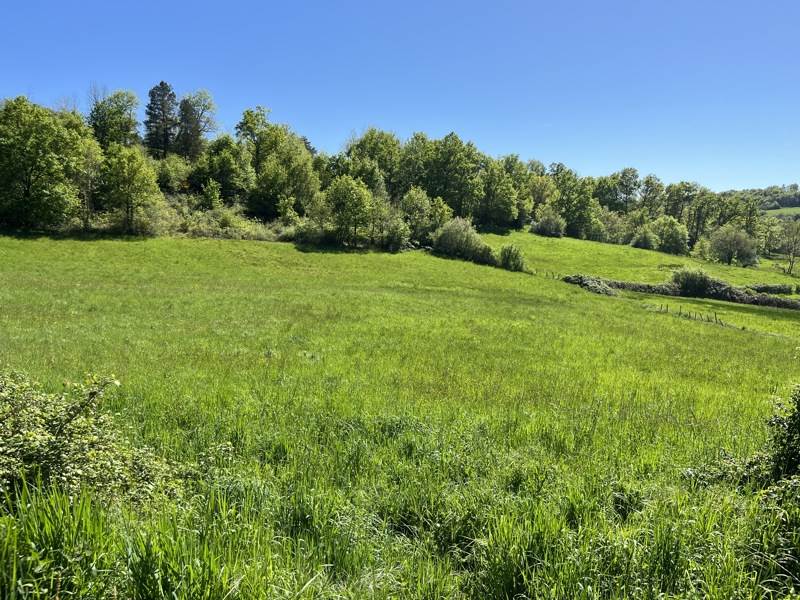 Vente Terrain MEYSSAC - -12740 m² - (19500)