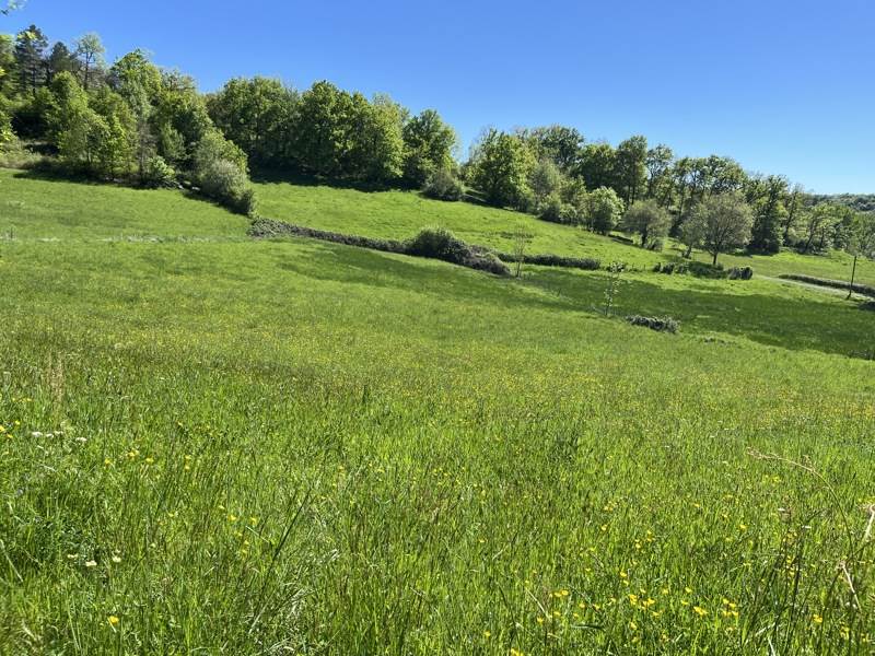 Vente Terrain MEYSSAC - -12740 m² - (19500)