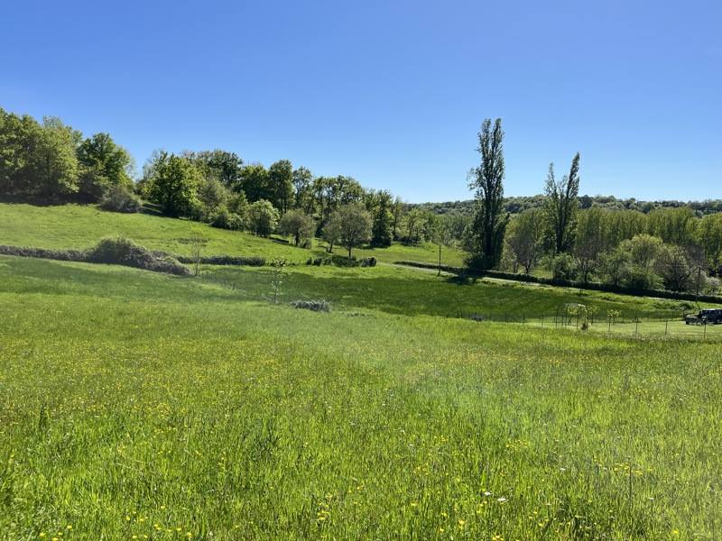 Vente Terrain MEYSSAC - -12740 m² - (19500)