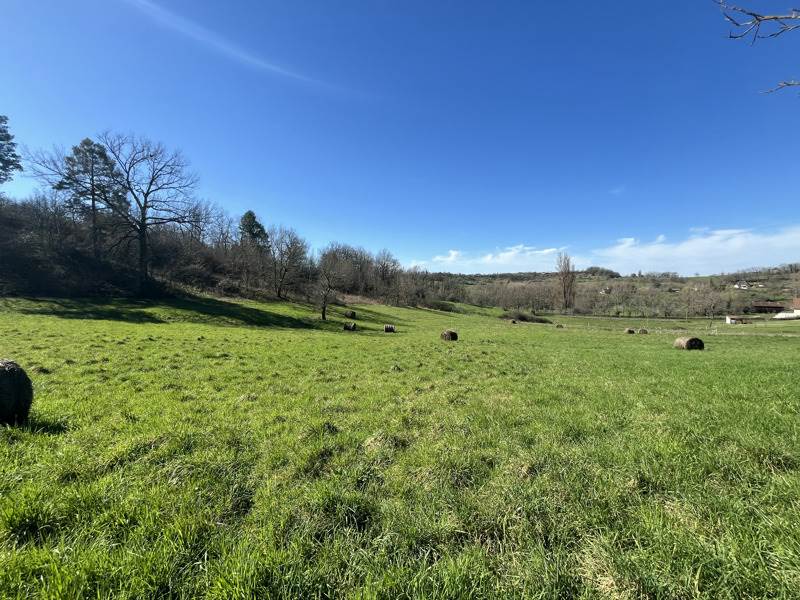 Vente Terrain MEYSSAC - -12740 m² - (19500)