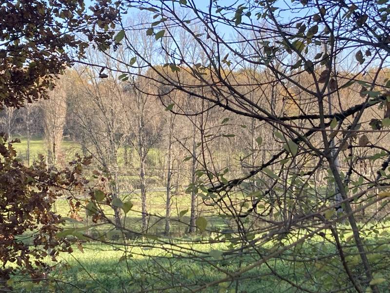 Vente Terrain MEYSSAC - -6950 m² - (19500)