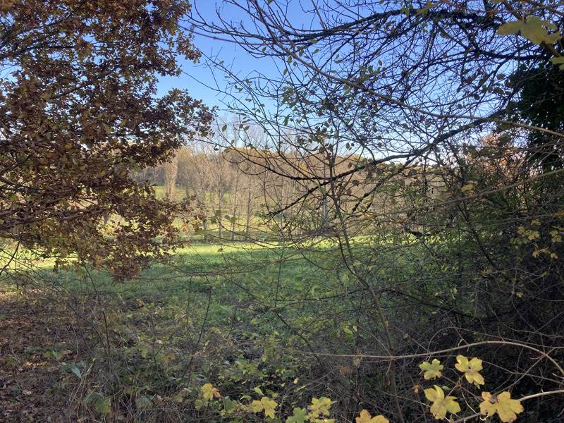 Vente Terrain MEYSSAC - -3475 m² - (19500)