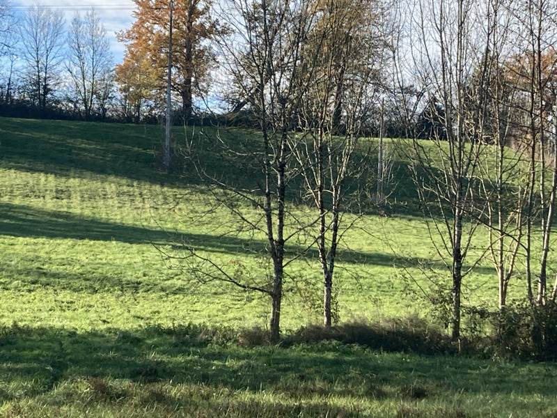 Vente Terrain MEYSSAC - -3475 m² - (19500)