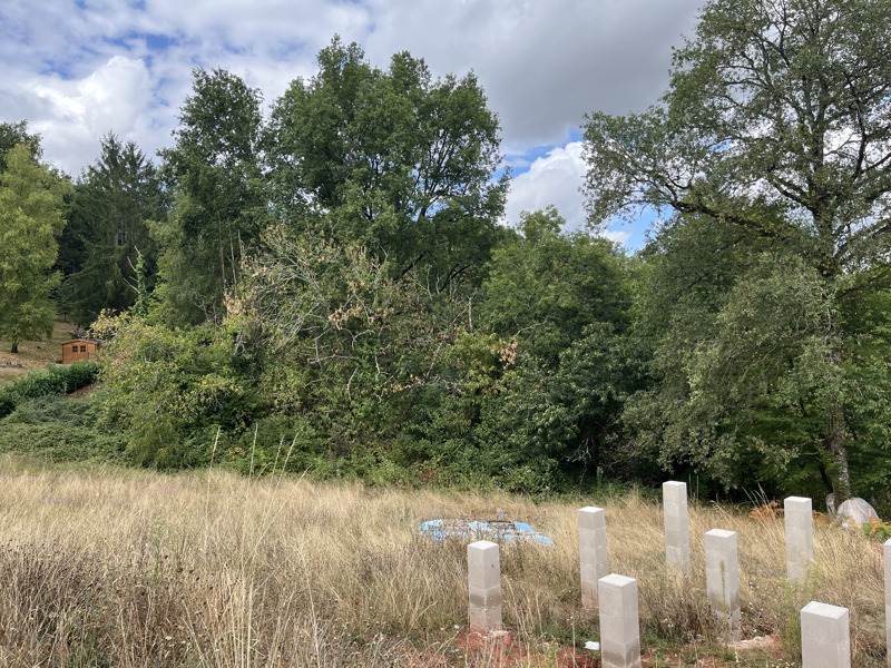 Vente Terrain MEYSSAC - -7640 m² - (19500)