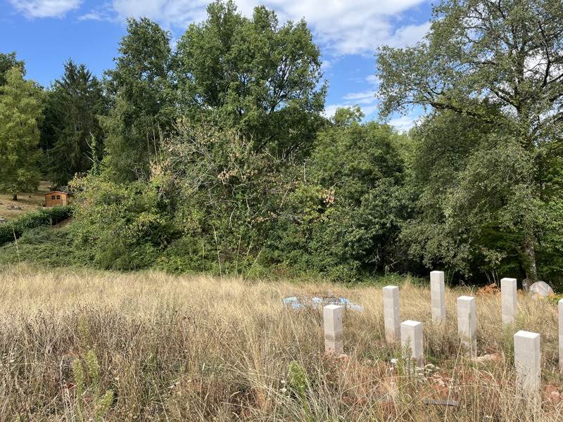 Vente Terrain MEYSSAC - -7640 m² - (19500)