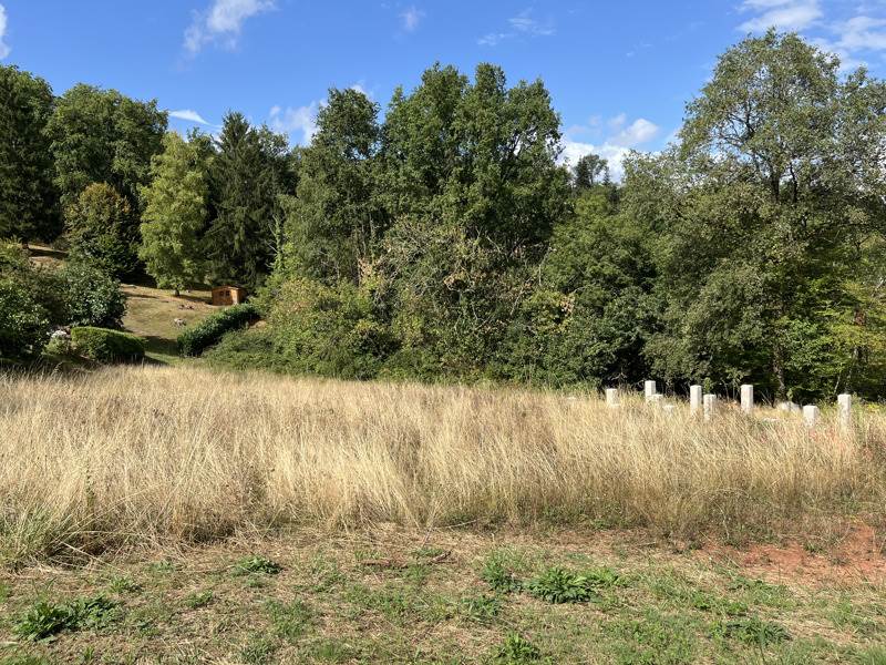 Vente Terrain MEYSSAC - -7640 m² - (19500)