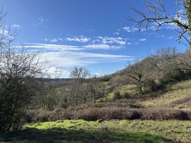 Vente Terrain MEYSSAC - -2362 m² - (19500)