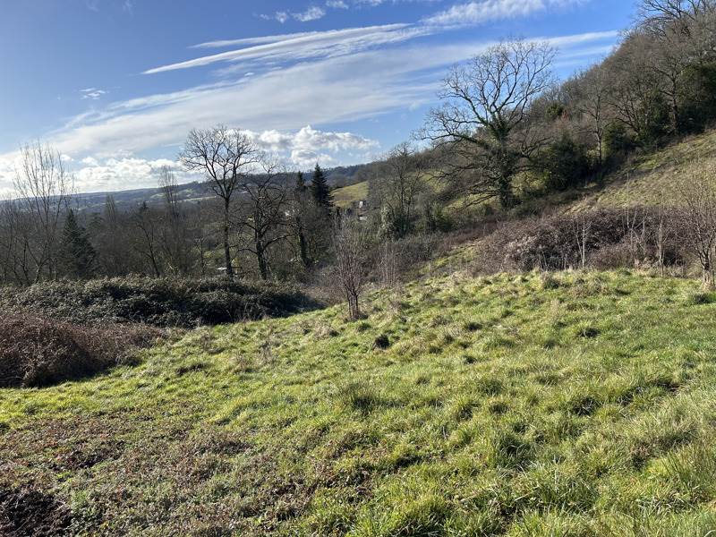 Vente Terrain MEYSSAC - -2362 m² - (19500)