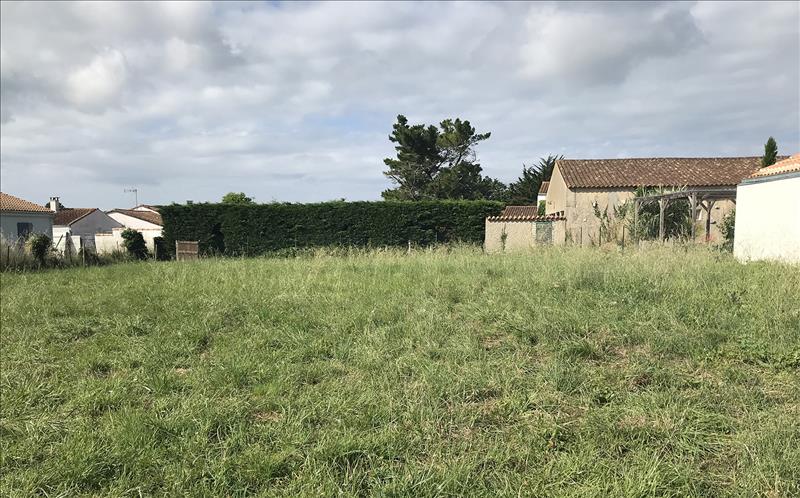 Vente Terrain ST PIERRE D OLERON - -864 m² - (17310)