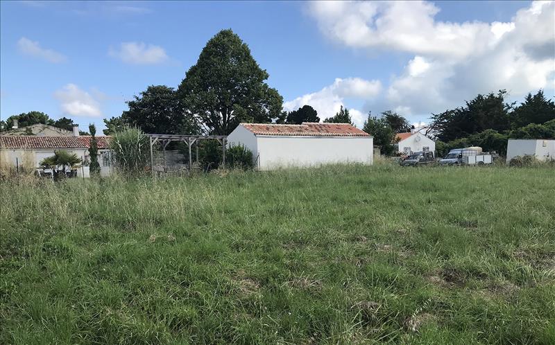 Vente Terrain ST PIERRE D OLERON - -864 m² - (17310)