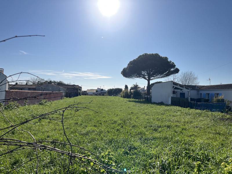 Vente Terrain ST PIERRE D OLERON - -560 m² - (17310)