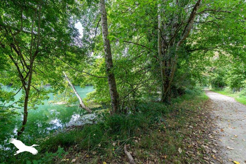 Vente Maison ST YRIEIX SUR CHARENTE - 5 pièces -169 m² - (16710)