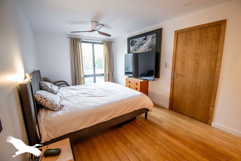 Vente Maison MONTGEARD - 6 pièces -187,8 m² - (31560)