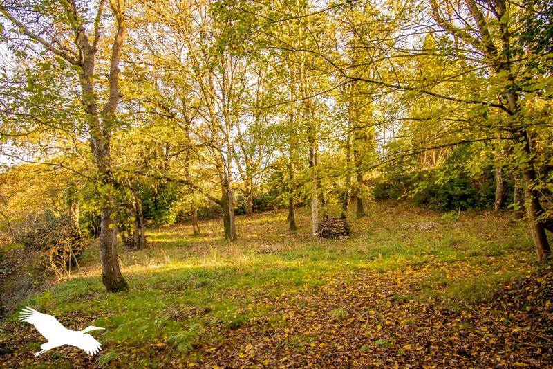 Vente Maison MONTGEARD - 6 pièces -187,8 m² - (31560)