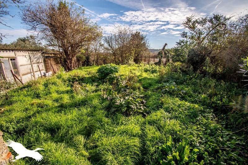 Vente Maison NOUEILLES - 5 pièces -159 m² - (31450)