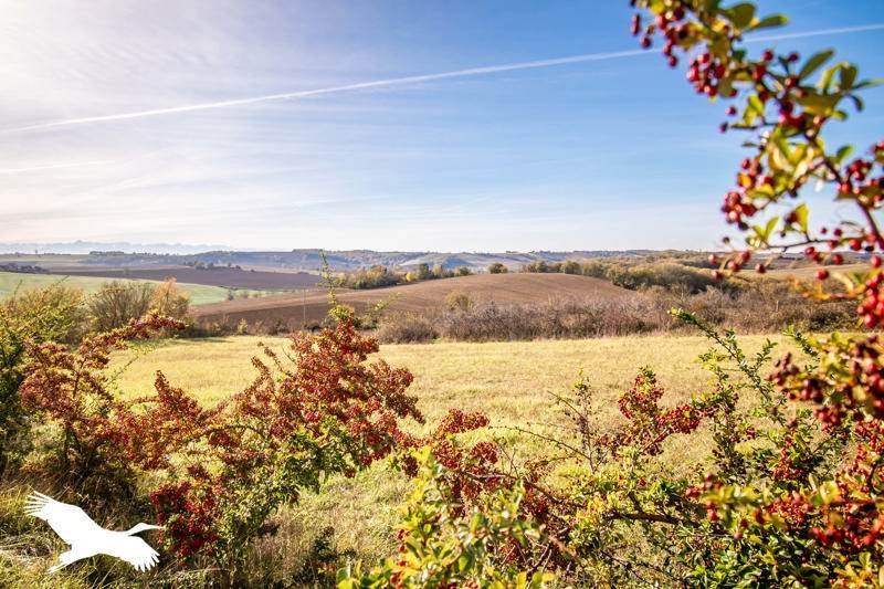 Vente Maison ST LEON - 4 pièces -103,2 m² - (31560)