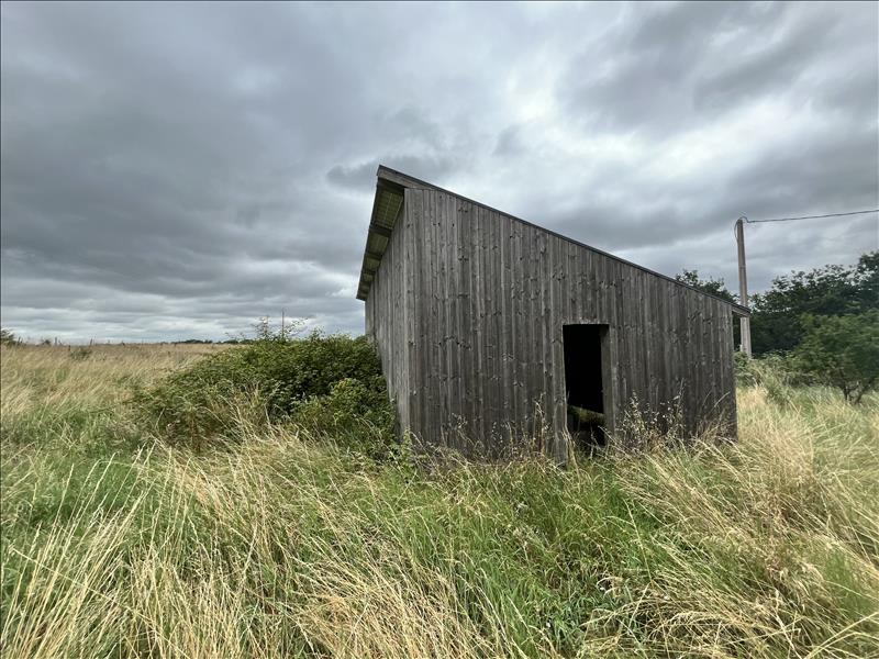 Vente Maison ST LOUP - 2 pièces -253 m² - (82340)