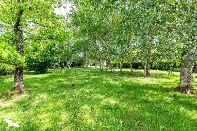 Vente Maison ST NICOLAS DE LA GRAVE - 7 pièces -168 m² - (82210)