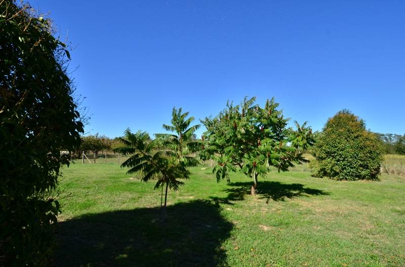 Vente Maison DONZAC - 4 pièces -115 m² - (82340)