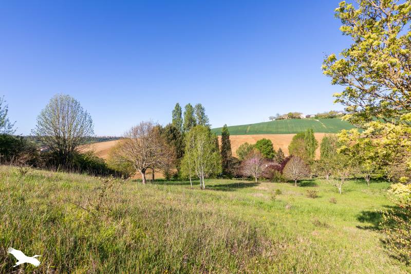 Vente Maison TAYRAC - 5 pièces -204 m² - (47270)