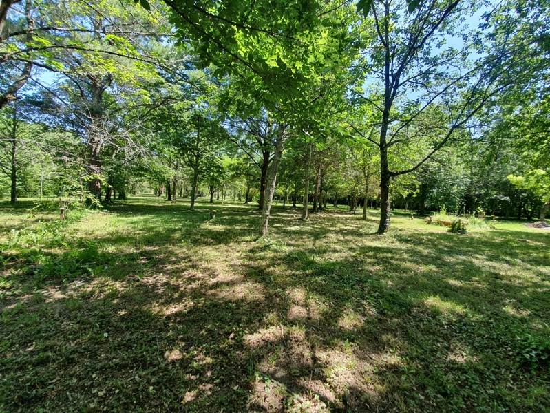 Vente Maison ST NICOLAS DE LA GRAVE - 8 pièces -201 m² - (82210)