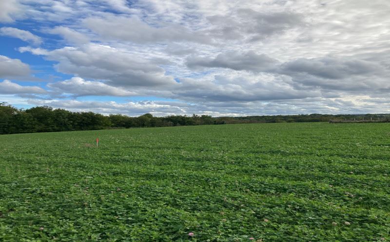 Vente Terrain ST SAUVEUR LALANDE - -1890 m² - (24700)