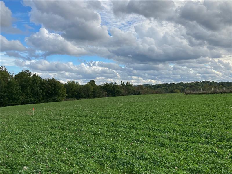 Vente Terrain ST SAUVEUR LALANDE - -2263 m² - (24700)
