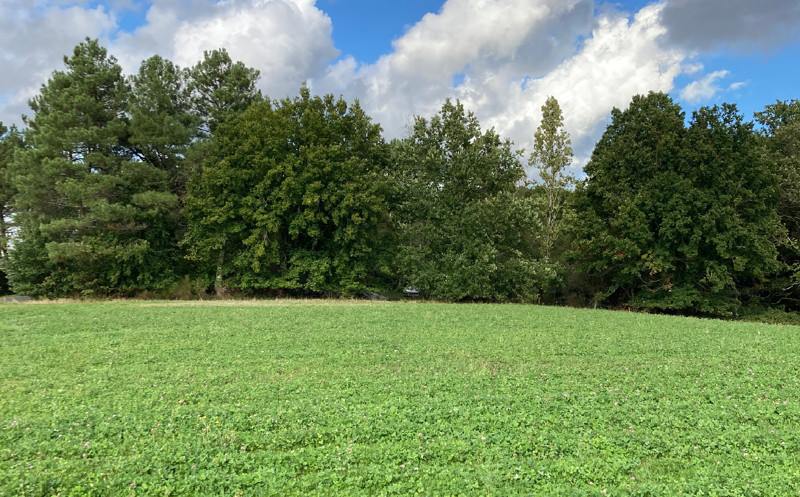 Vente Terrain ST SAUVEUR LALANDE - -2611 m² - (24700)