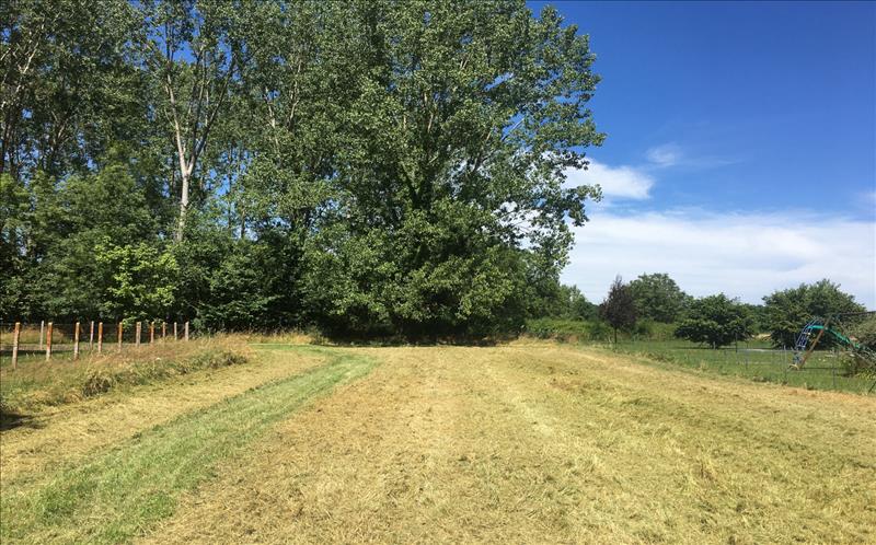 Vente Terrain MONTPON MENESTEROL - -66723 m² - (24700)