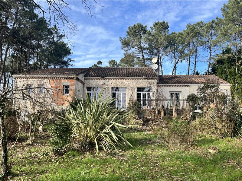 Vente Maison ST REMY - 5 pièces -272 m² - (24700)