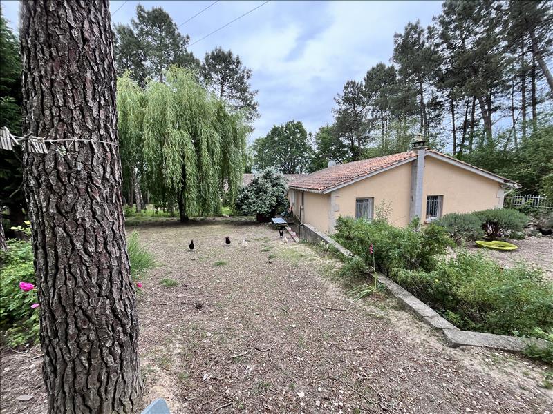 Vente Maison ST REMY - 5 pièces -272 m² - (24700)