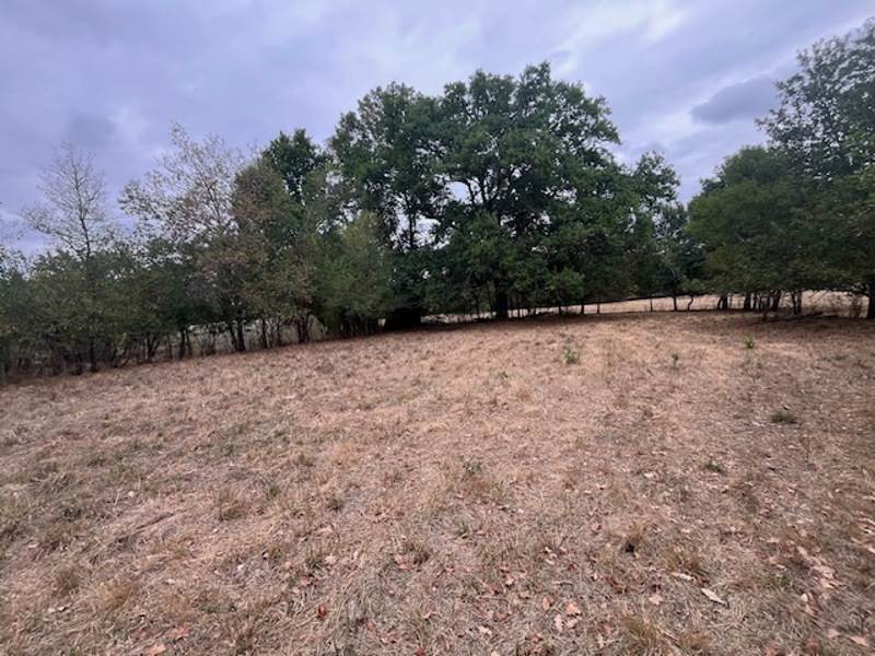 Vente Maison ECHOURGNAC - 3 pièces -52 m² - (24410)