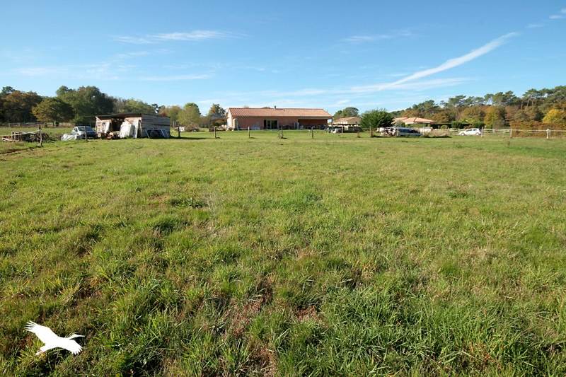 Vente Maison ST MARTIN DE GURSON - 7 pièces -189 m² - (24610)