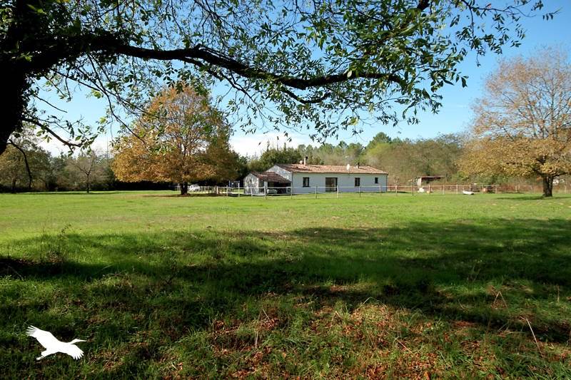 Vente Maison LE PIZOU - 4 pièces -140 m² - (24700)