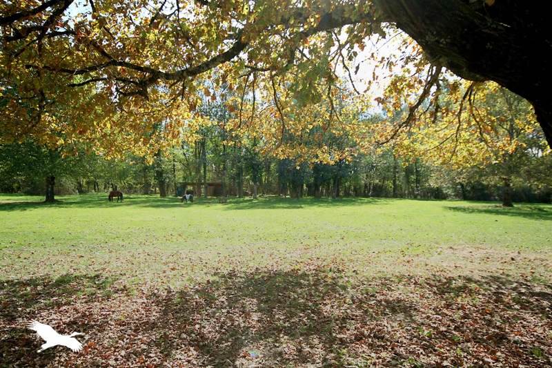 Vente Maison LE PIZOU - 4 pièces -140 m² - (24700)