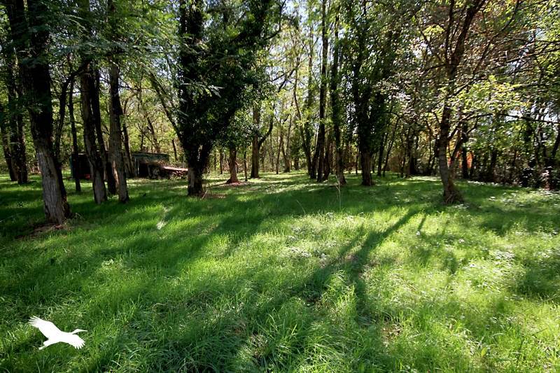 Vente Maison LE PIZOU - 4 pièces -140 m² - (24700)