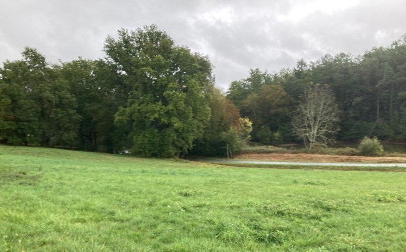 Vente Terrain ST BARTHELEMY DE BELLEGARDE - -1899 m² - (24700)