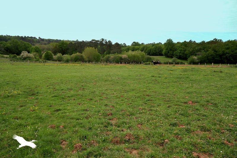 Vente Maison EYGURANDE ET GARDEDEUIL - 5 pièces -120 m² - (24700)
