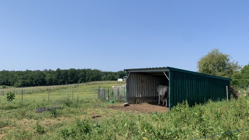 Vente Maison EYGURANDE ET GARDEDEUIL - 5 pièces -120 m² - (24700)