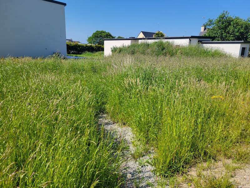 Vente Terrain PLOUARZEL - -508 m² - (29810)
