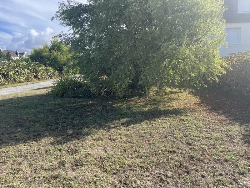 Vente Terrain LAMPAUL PLOUARZEL - -358 m² - (29810)