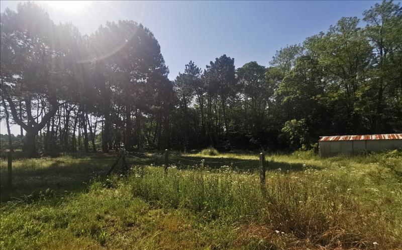 Vente Terrain à bâtir ST AUBIN DE MEDOC - -600 m² - (33160)