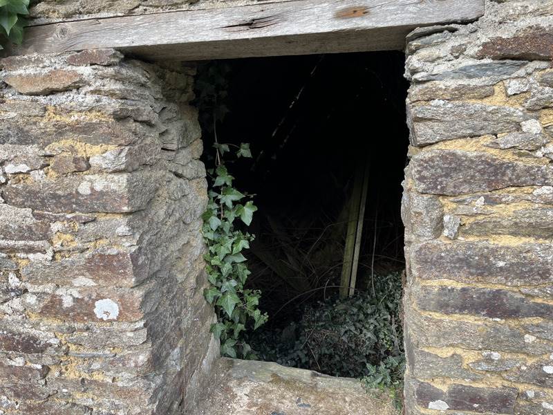 Vente Maison ST SAUVEUR - 1 pièce -45 m² - (29400)