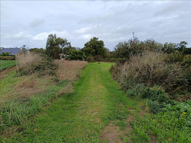 Vente Terrain PLOUGOULM - -1210 m² - (29250)