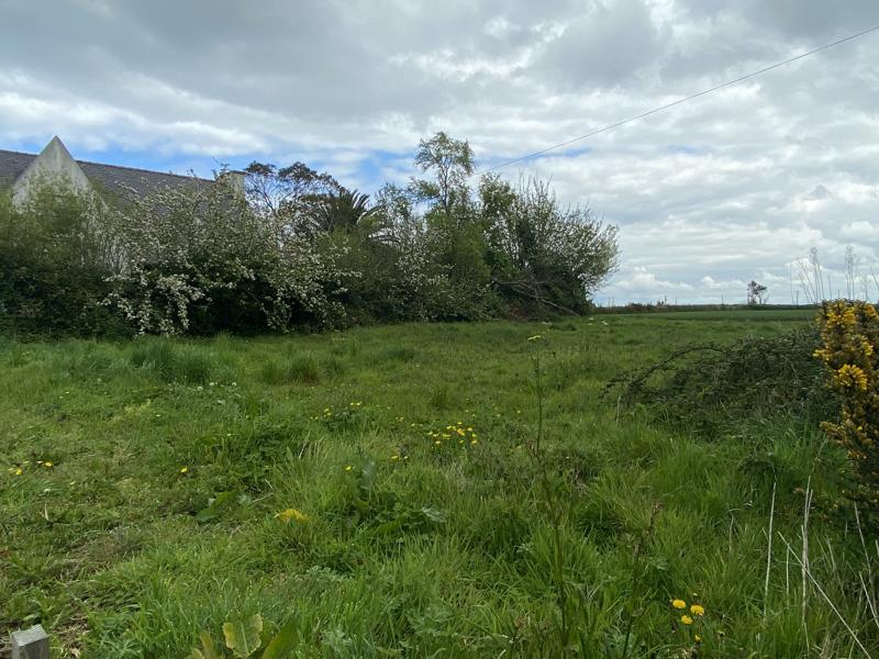 Vente Terrain PLOUGOULM - -617 m² - (29250)