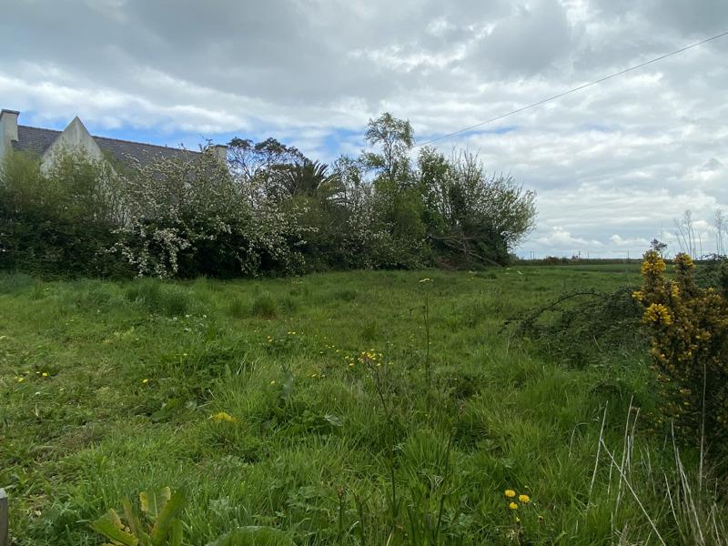 Vente Terrain PLOUGOULM - -617 m² - (29250)