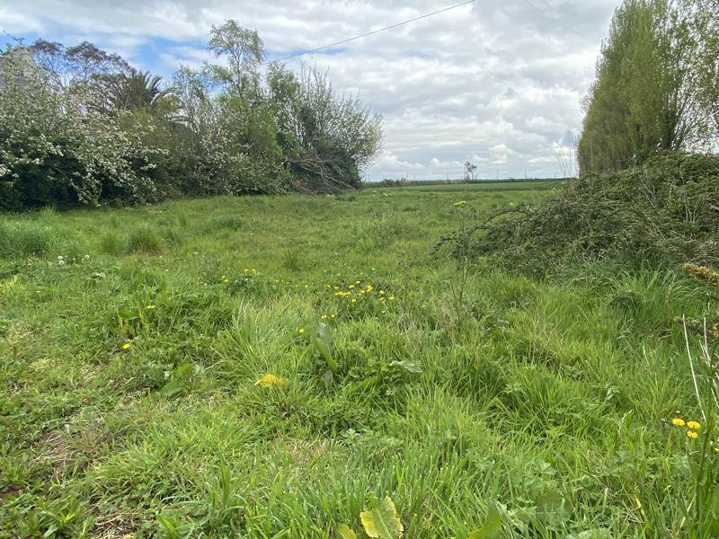 Vente Terrain PLOUGOULM - -617 m² - (29250)